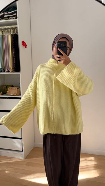 Gilet jaune